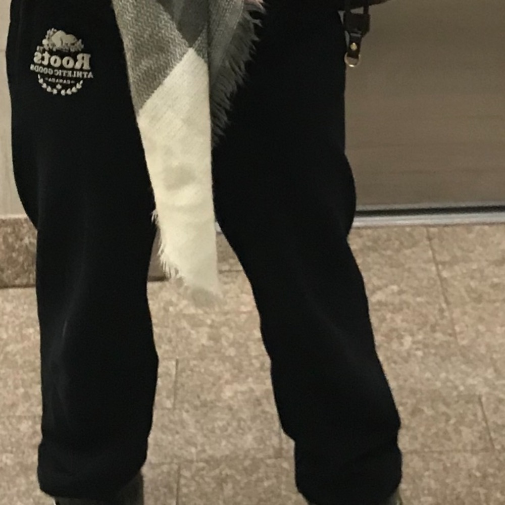 Roots sweatpants